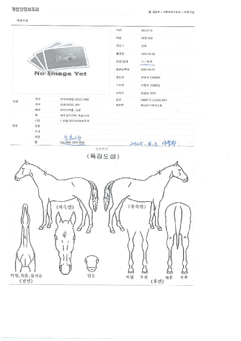 ´ëÇѽôëÀÇ Ãø¸é,¿ì¸é,µÞ¸é,µÎ»ó,´Ù¸®ÀÇ Æ¯Â¡µµÇØ