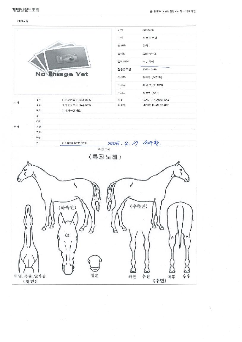 ����Ʈ������ ����,���,�޸�,�λ�,�ٸ��� Ư¡����