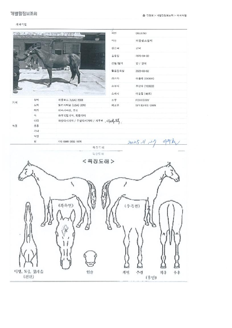 ÀÌŬ¸³½º¿¤¸®ÀÇ Ãø¸é,¿ì¸é,µÞ¸é,µÎ»ó,´Ù¸®ÀÇ Æ¯Â¡µµÇØ