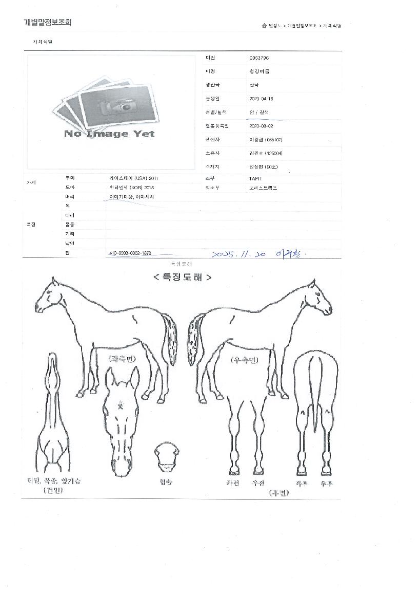 û°¿©¸§ÀÇ Ãø¸é,¿ì¸é,µÞ¸é,µÎ»ó,´Ù¸®ÀÇ Æ¯Â¡µµÇØ