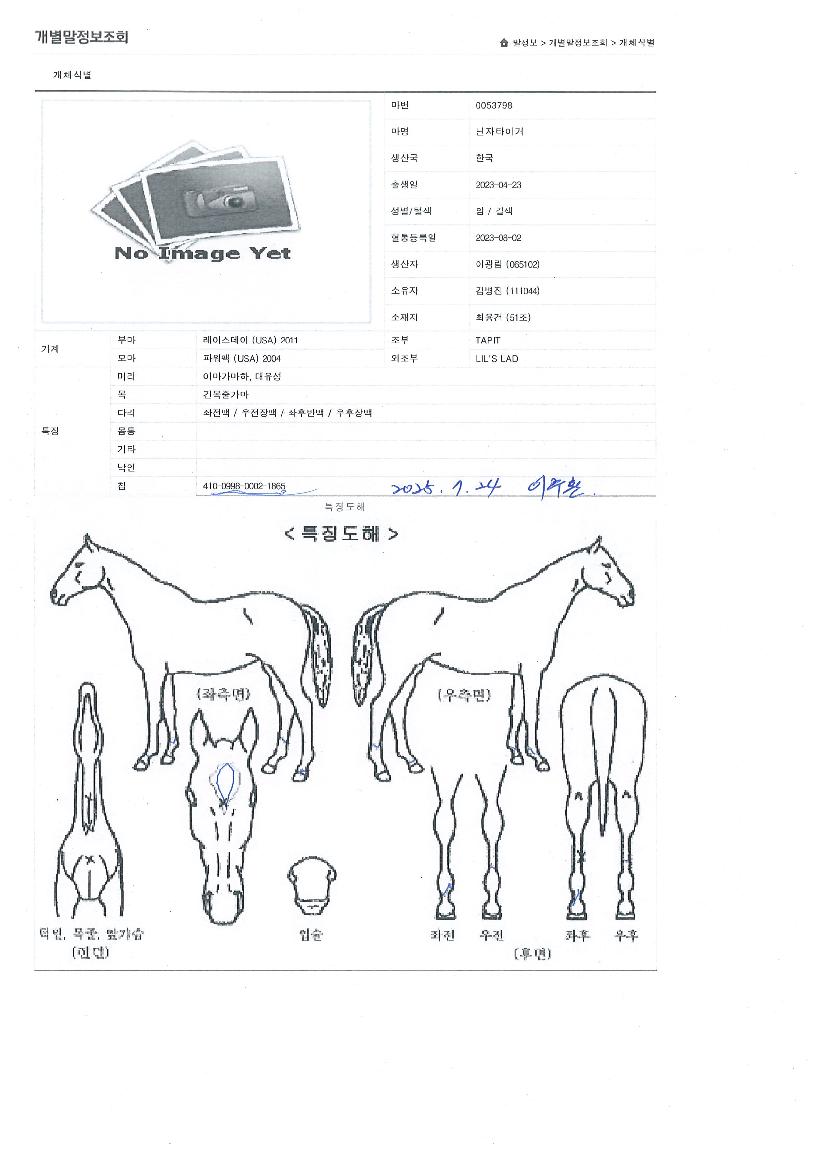 ´ÑÀÚŸÀ̰ÅÀÇ Ãø¸é,¿ì¸é,µÞ¸é,µÎ»ó,´Ù¸®ÀÇ Æ¯Â¡µµÇØ