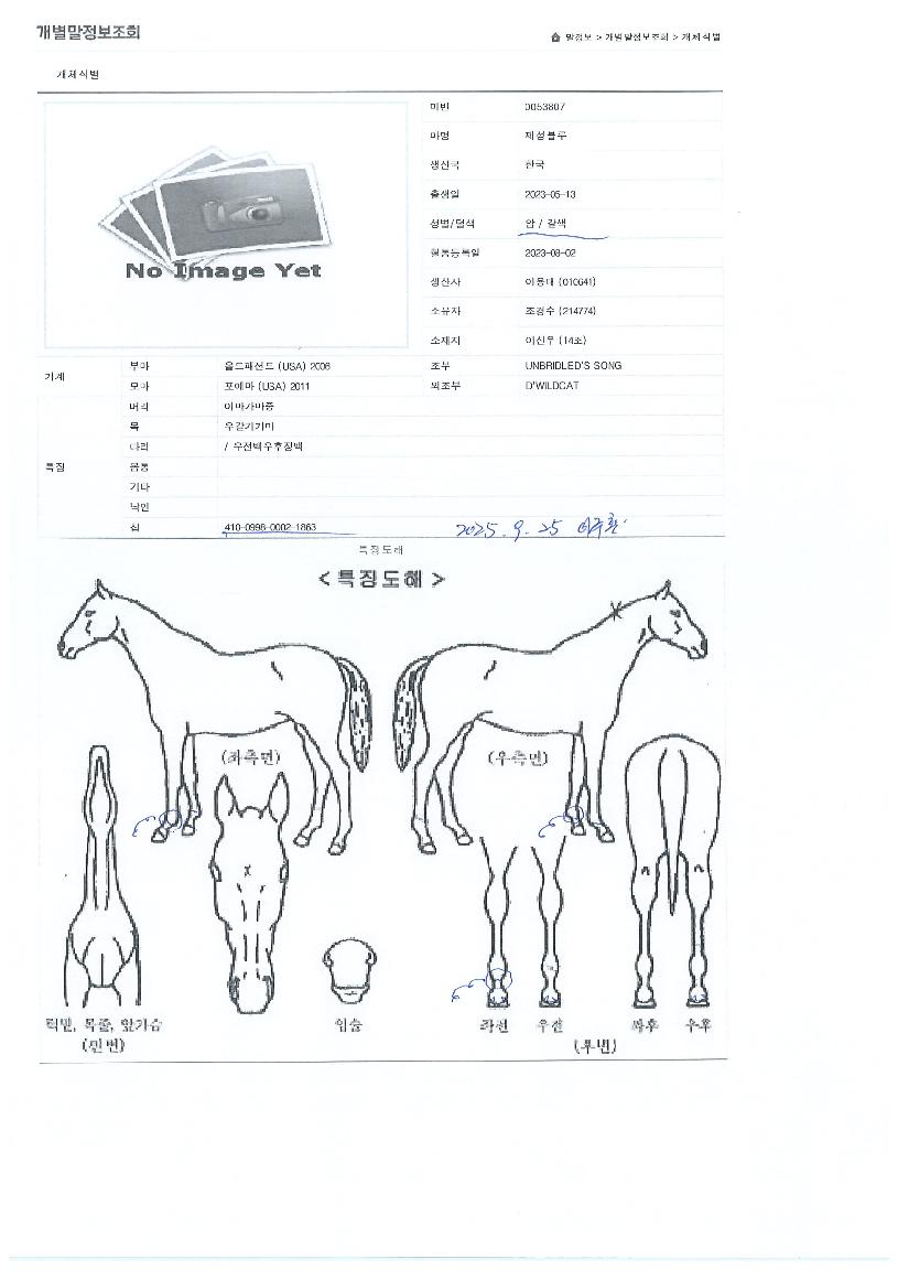 Á¦¼ººí·çÀÇ Ãø¸é,¿ì¸é,µÞ¸é,µÎ»ó,´Ù¸®ÀÇ Æ¯Â¡µµÇØ