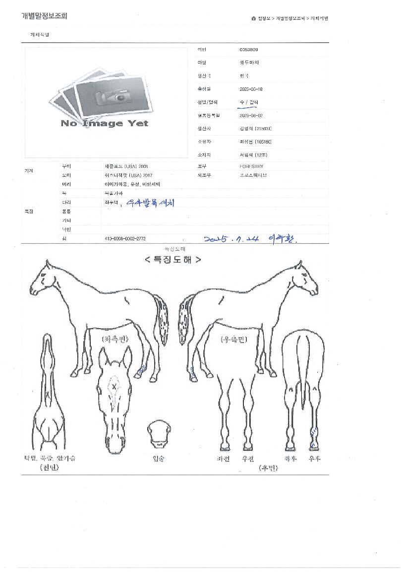 �ֵθ����� ����,���,�޸�,�λ�,�ٸ��� Ư¡����