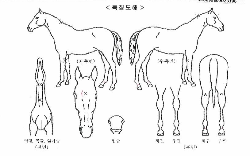 ��Ʈ������ ����,���,�޸�,�λ�,�ٸ��� Ư¡����