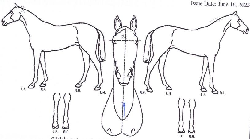 º¼ÇÁ½ºÅ·¸ÇÀÇ Ãø¸é,¿ì¸é,µÞ¸é,µÎ»ó,´Ù¸®ÀÇ Æ¯Â¡µµÇØ