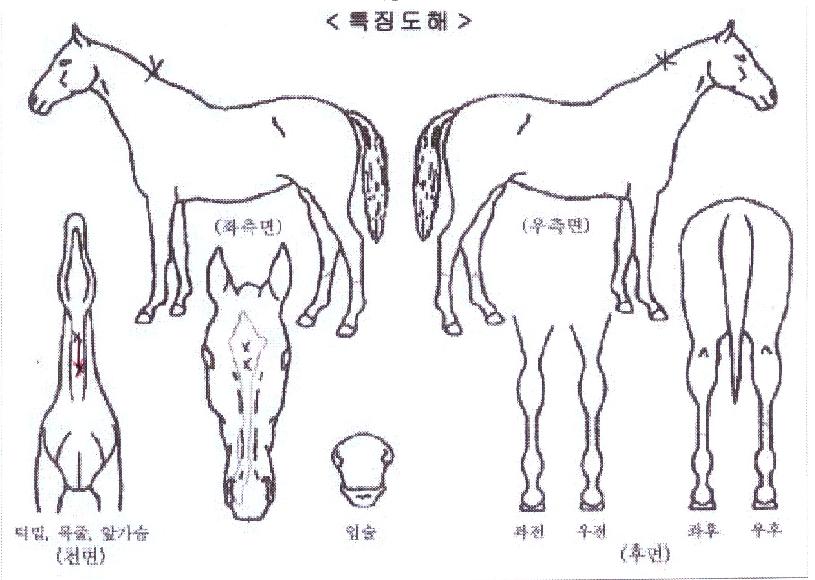 ���Ÿ����̽��� ����,���,�޸�,�λ�,�ٸ��� Ư¡����