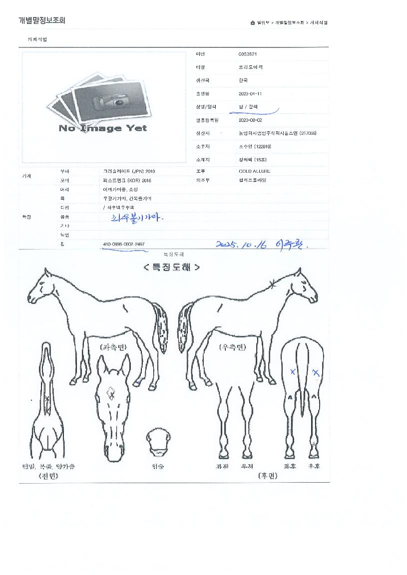 �긮�������� ����,���,�޸�,�λ�,�ٸ��� Ư¡����