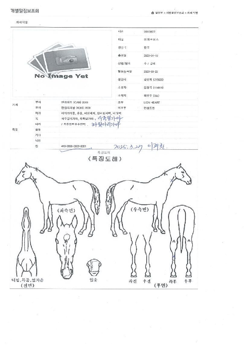 ¹ø°³·çÀ̽ºÀÇ Ãø¸é,¿ì¸é,µÞ¸é,µÎ»ó,´Ù¸®ÀÇ Æ¯Â¡µµÇØ