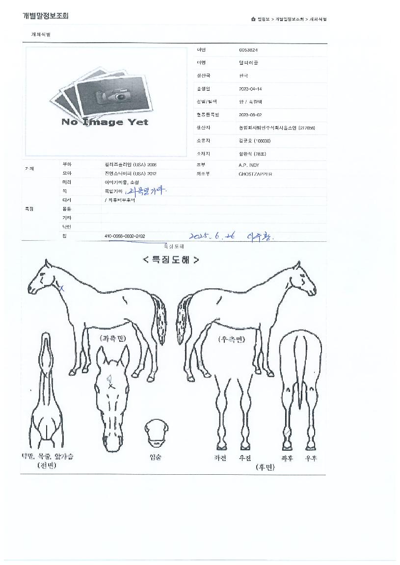 µ¨Å¸À̱ÛÀÇ Ãø¸é,¿ì¸é,µÞ¸é,µÎ»ó,´Ù¸®ÀÇ Æ¯Â¡µµÇØ