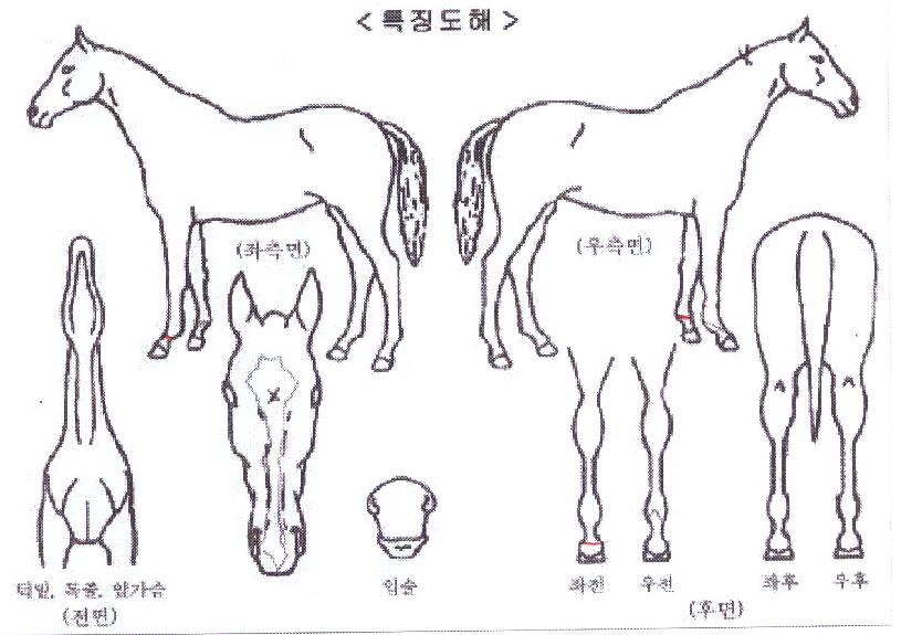 ÄýÆÛÆåÆ®ÀÇ Ãø¸é,¿ì¸é,µÞ¸é,µÎ»ó,´Ù¸®ÀÇ Æ¯Â¡µµÇØ