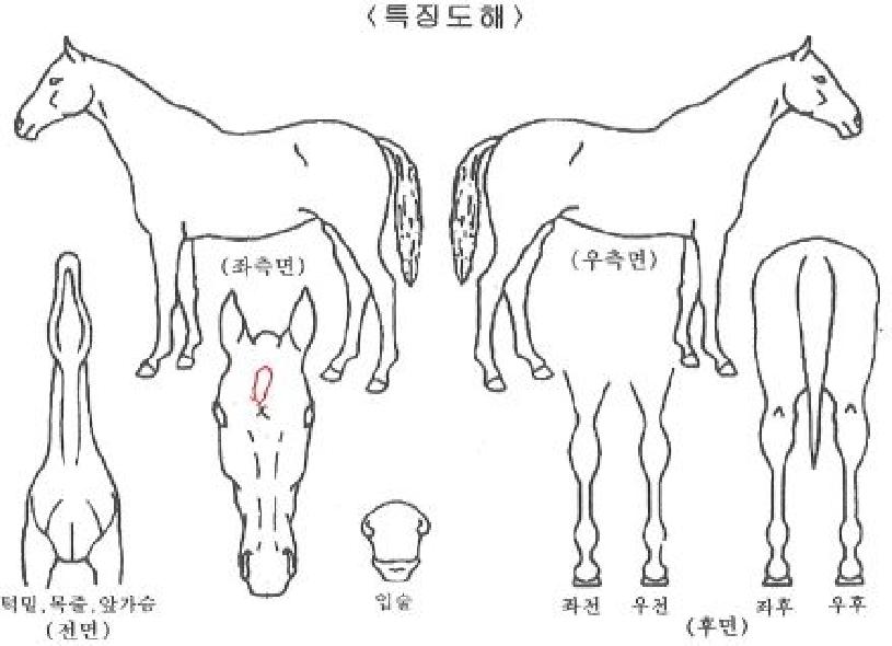 ������õ���� ����,���,�޸�,�λ�,�ٸ��� Ư¡����