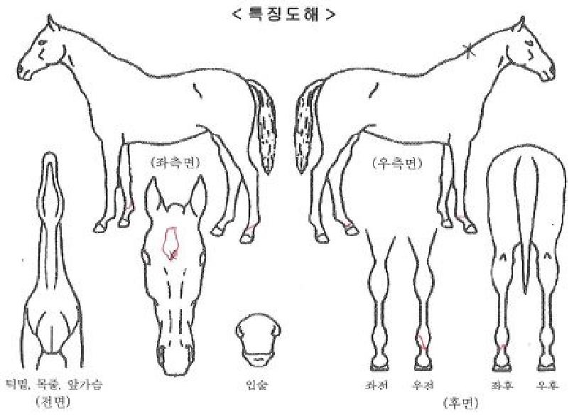 ž������ ����,���,�޸�,�λ�,�ٸ��� Ư¡����