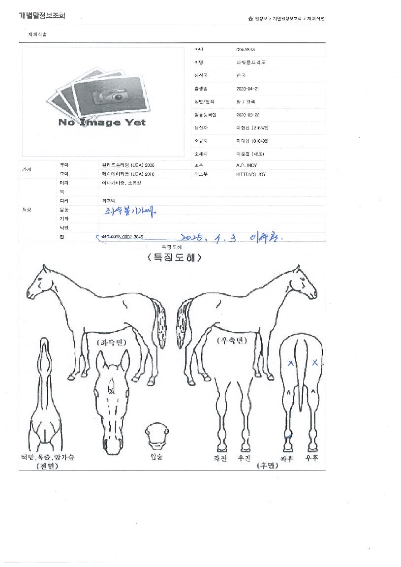 ÆÄ¿öÇ®ÇÁ¶óµµÀÇ Ãø¸é,¿ì¸é,µÞ¸é,µÎ»ó,´Ù¸®ÀÇ Æ¯Â¡µµÇØ