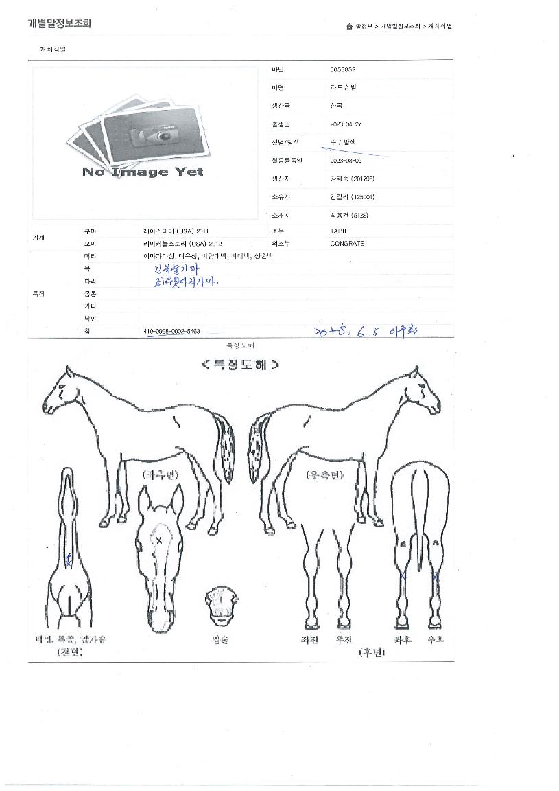 �ĵ彴���� ����,���,�޸�,�λ�,�ٸ��� Ư¡����