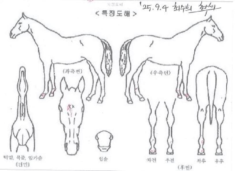 �����Ͽ����� ����,���,�޸�,�λ�,�ٸ��� Ư¡����