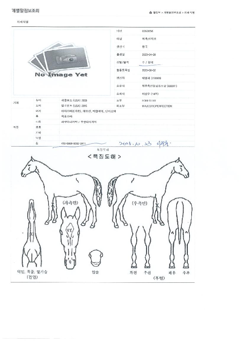 ����������� ����,���,�޸�,�λ�,�ٸ��� Ư¡����