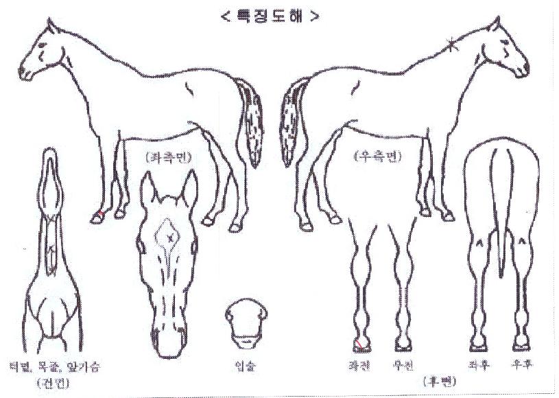 �ǽ������� ����,���,�޸�,�λ�,�ٸ��� Ư¡����