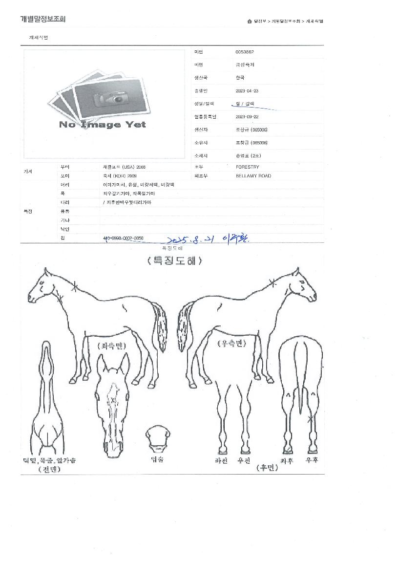 �ݼ������� ����,���,�޸�,�λ�,�ٸ��� Ư¡����