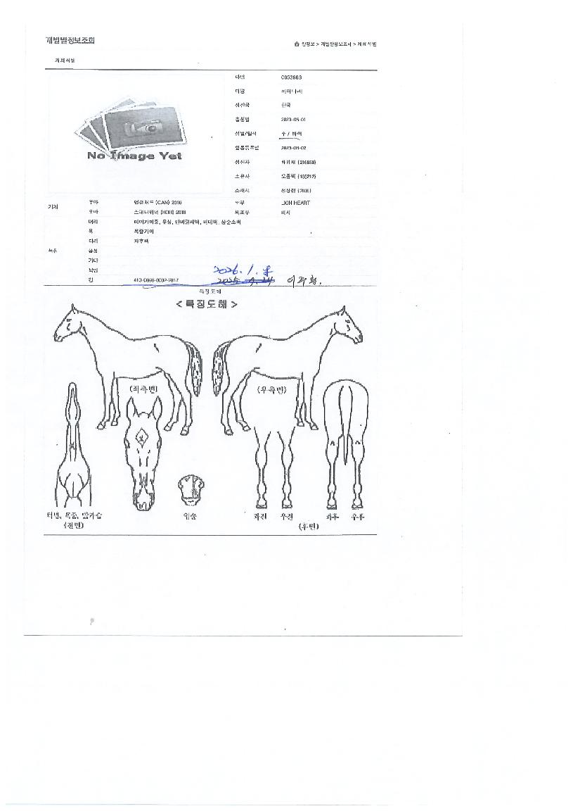 �Ǿ���� ����,���,�޸�,�λ�,�ٸ��� Ư¡����