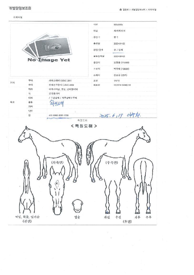 ÆÄÄ«·¹À̼ÀÇ Ãø¸é,¿ì¸é,µÞ¸é,µÎ»ó,´Ù¸®ÀÇ Æ¯Â¡µµÇØ