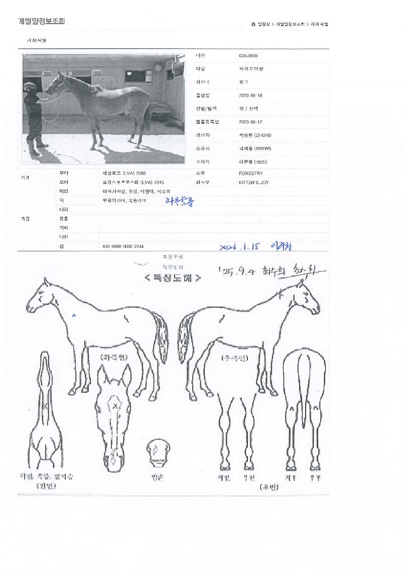 È÷¾î·Î¿©¿ÕÀÇ Ãø¸é,¿ì¸é,µÞ¸é,µÎ»ó,´Ù¸®ÀÇ Æ¯Â¡µµÇØ