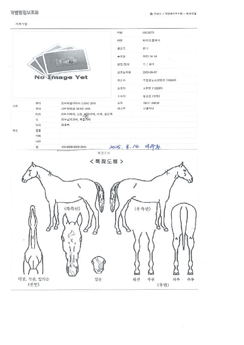 ŸÀÌÆ®Ç÷¹ÀÌÀÇ Ãø¸é,¿ì¸é,µÞ¸é,µÎ»ó,´Ù¸®ÀÇ Æ¯Â¡µµÇØ