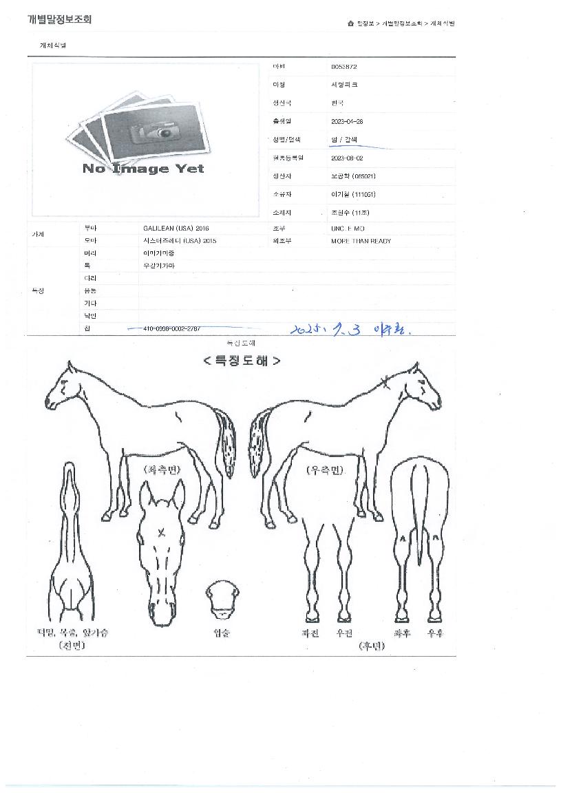 ¼¼¸íÇÇÅ©ÀÇ Ãø¸é,¿ì¸é,µÞ¸é,µÎ»ó,´Ù¸®ÀÇ Æ¯Â¡µµÇØ