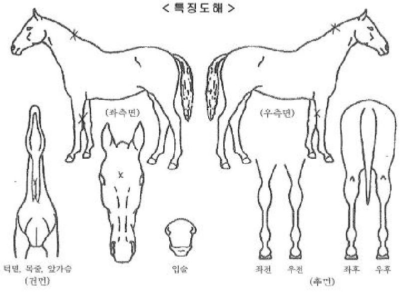 ���ͱ׷���Ʈ�� ����,���,�޸�,�λ�,�ٸ��� Ư¡����