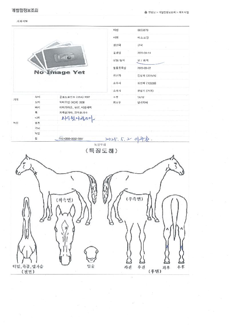 ����ũ���� ����,���,�޸�,�λ�,�ٸ��� Ư¡����