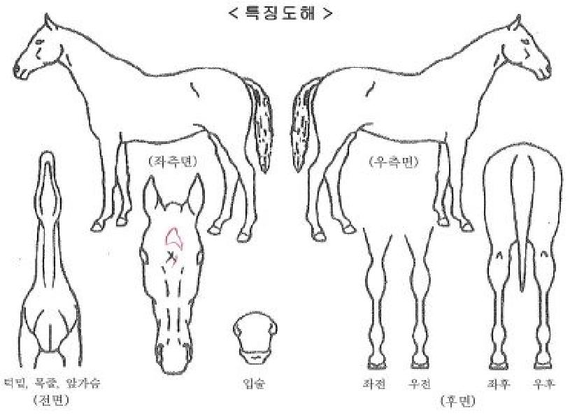 �̽��������� ����,���,�޸�,�λ�,�ٸ��� Ư¡����