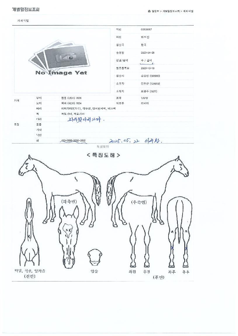 ��Ʈŷ�� ����,���,�޸�,�λ�,�ٸ��� Ư¡����