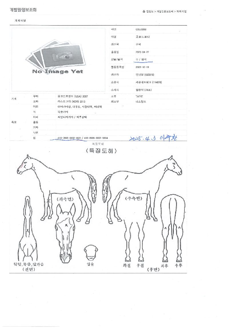 ÄáÄÚµåÄÚµðÀÇ Ãø¸é,¿ì¸é,µÞ¸é,µÎ»ó,´Ù¸®ÀÇ Æ¯Â¡µµÇØ