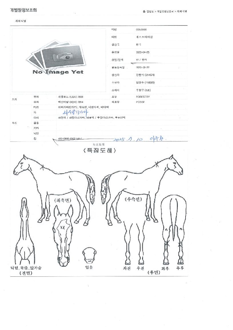 º£½ºÆ®¿¡ÀÌ¿øÀÇ Ãø¸é,¿ì¸é,µÞ¸é,µÎ»ó,´Ù¸®ÀÇ Æ¯Â¡µµÇØ