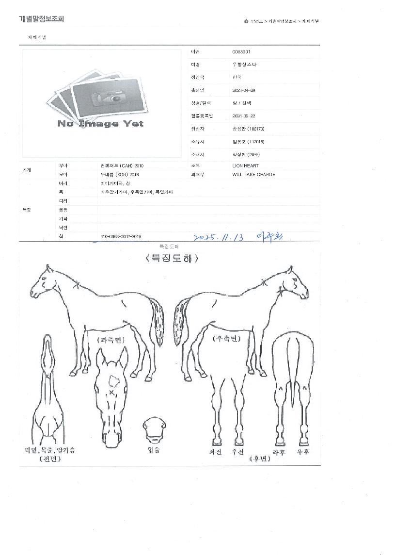 ���׻�Ÿ�� ����,���,�޸�,�λ�,�ٸ��� Ư¡����