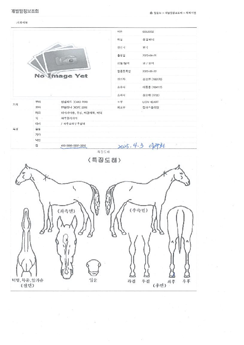 ¼º½ÇÀ§³ÊÀÇ Ãø¸é,¿ì¸é,µÞ¸é,µÎ»ó,´Ù¸®ÀÇ Æ¯Â¡µµÇØ
