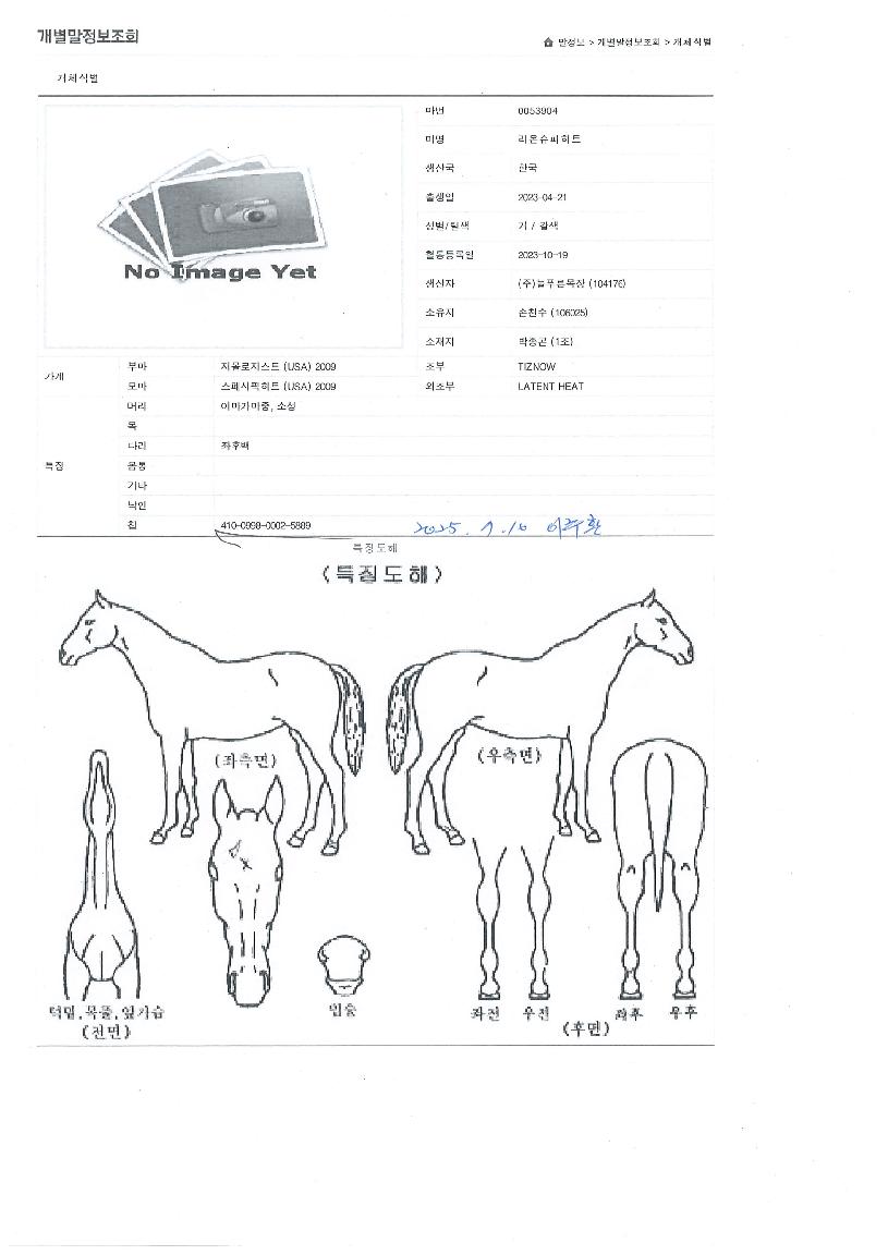 ¶ó¿Â½´ÆÛÈ÷Æ®ÀÇ Ãø¸é,¿ì¸é,µÞ¸é,µÎ»ó,´Ù¸®ÀÇ Æ¯Â¡µµÇØ