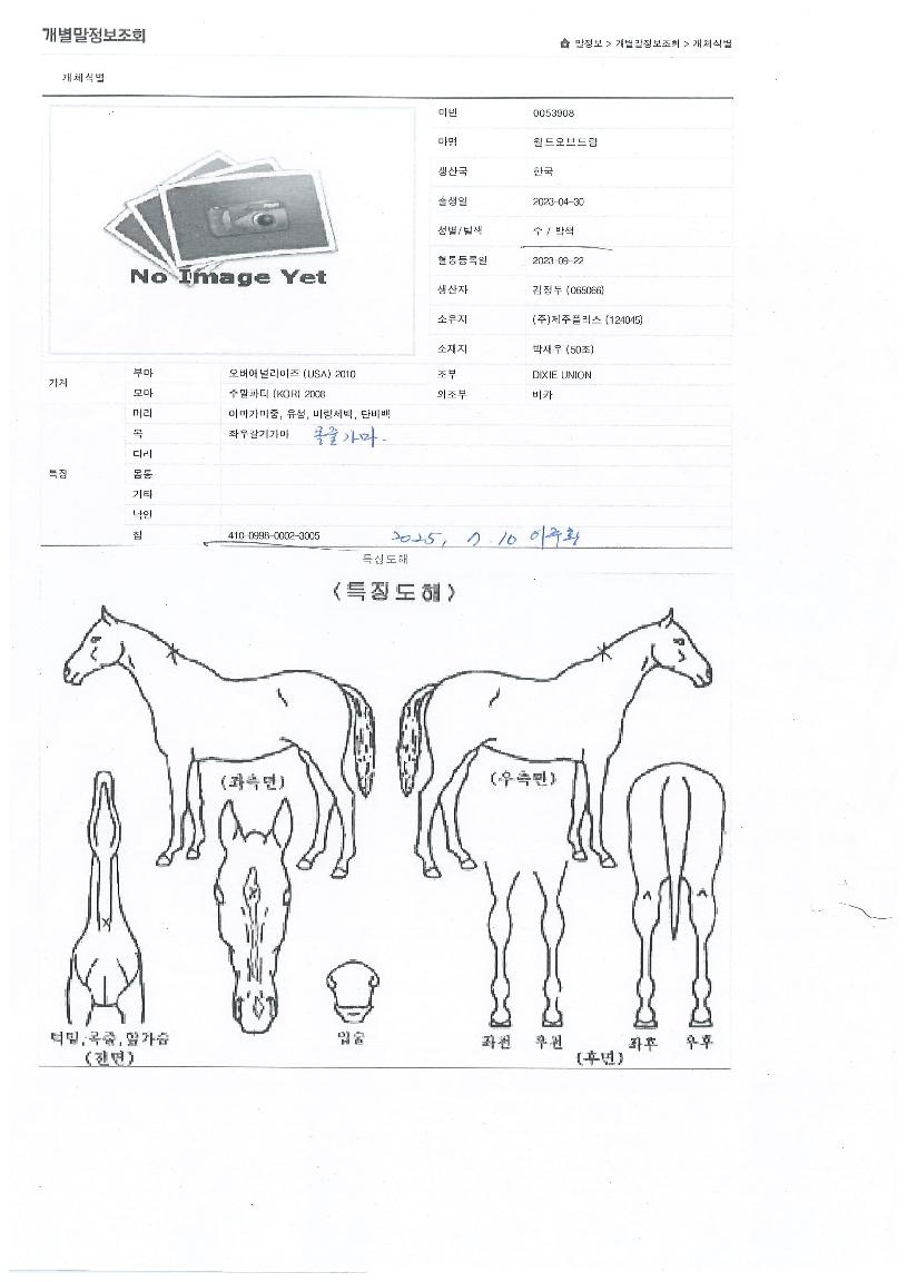 �������帲�� ����,���,�޸�,�λ�,�ٸ��� Ư¡����