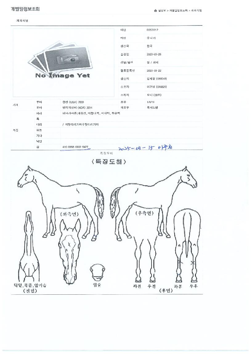 À¯´ÏÄ«ÀÇ Ãø¸é,¿ì¸é,µÞ¸é,µÎ»ó,´Ù¸®ÀÇ Æ¯Â¡µµÇØ