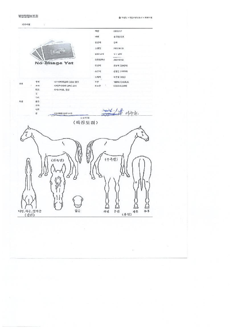 ÇöóÀ×Ä¡ÇÁÀÇ Ãø¸é,¿ì¸é,µÞ¸é,µÎ»ó,´Ù¸®ÀÇ Æ¯Â¡µµÇØ