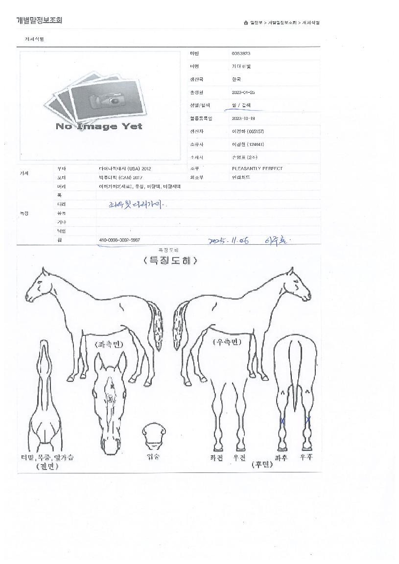 �Ŵ��Ѻ��� ����,���,�޸�,�λ�,�ٸ��� Ư¡����