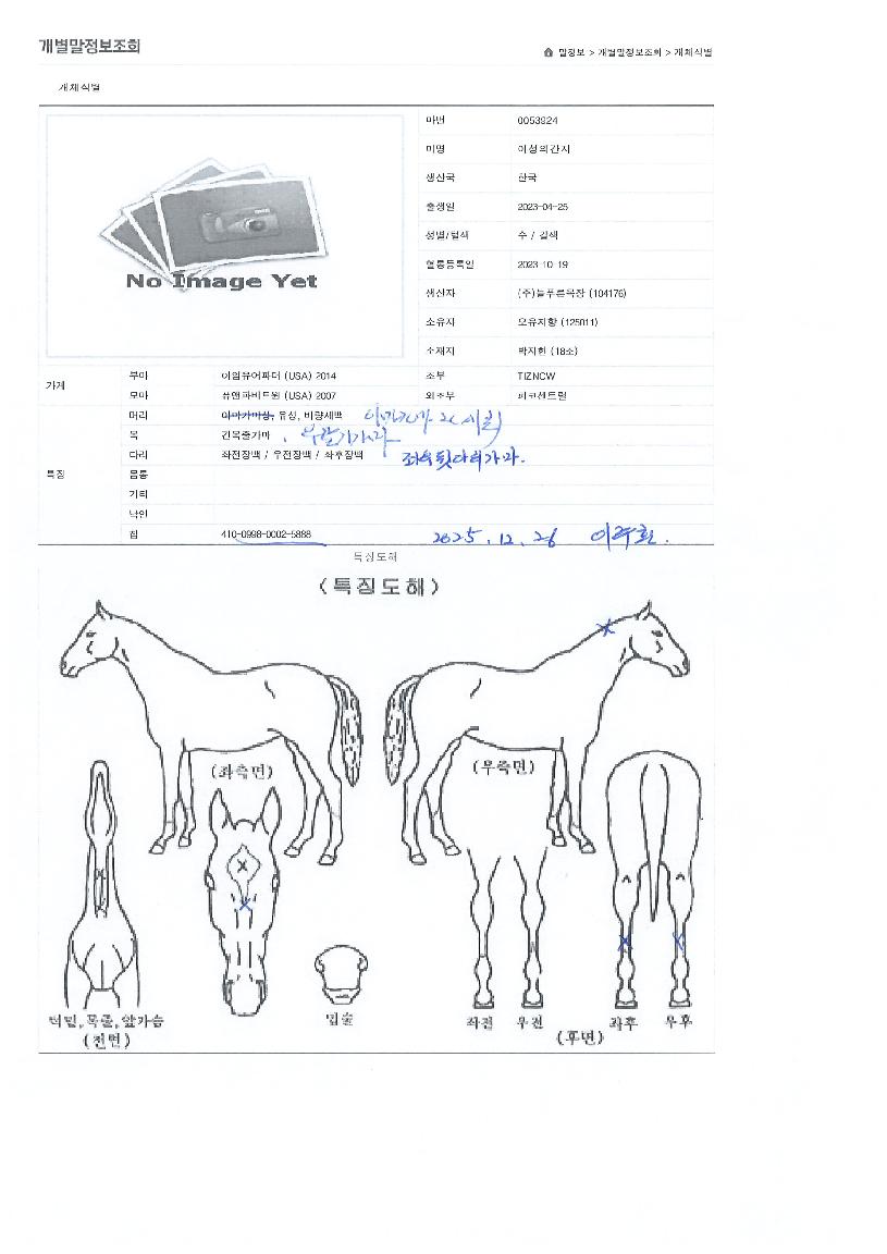 À̼ºÀǰ£ÁöÀÇ Ãø¸é,¿ì¸é,µÞ¸é,µÎ»ó,´Ù¸®ÀÇ Æ¯Â¡µµÇØ