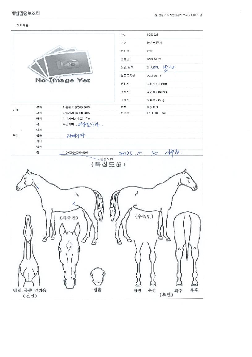 ������������ ����,���,�޸�,�λ�,�ٸ��� Ư¡����