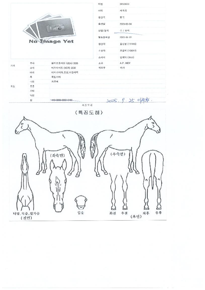 ¼ÆøÃªÀÇ Ãø¸é,¿ì¸é,µÞ¸é,µÎ»ó,´Ù¸®ÀÇ Æ¯Â¡µµÇØ