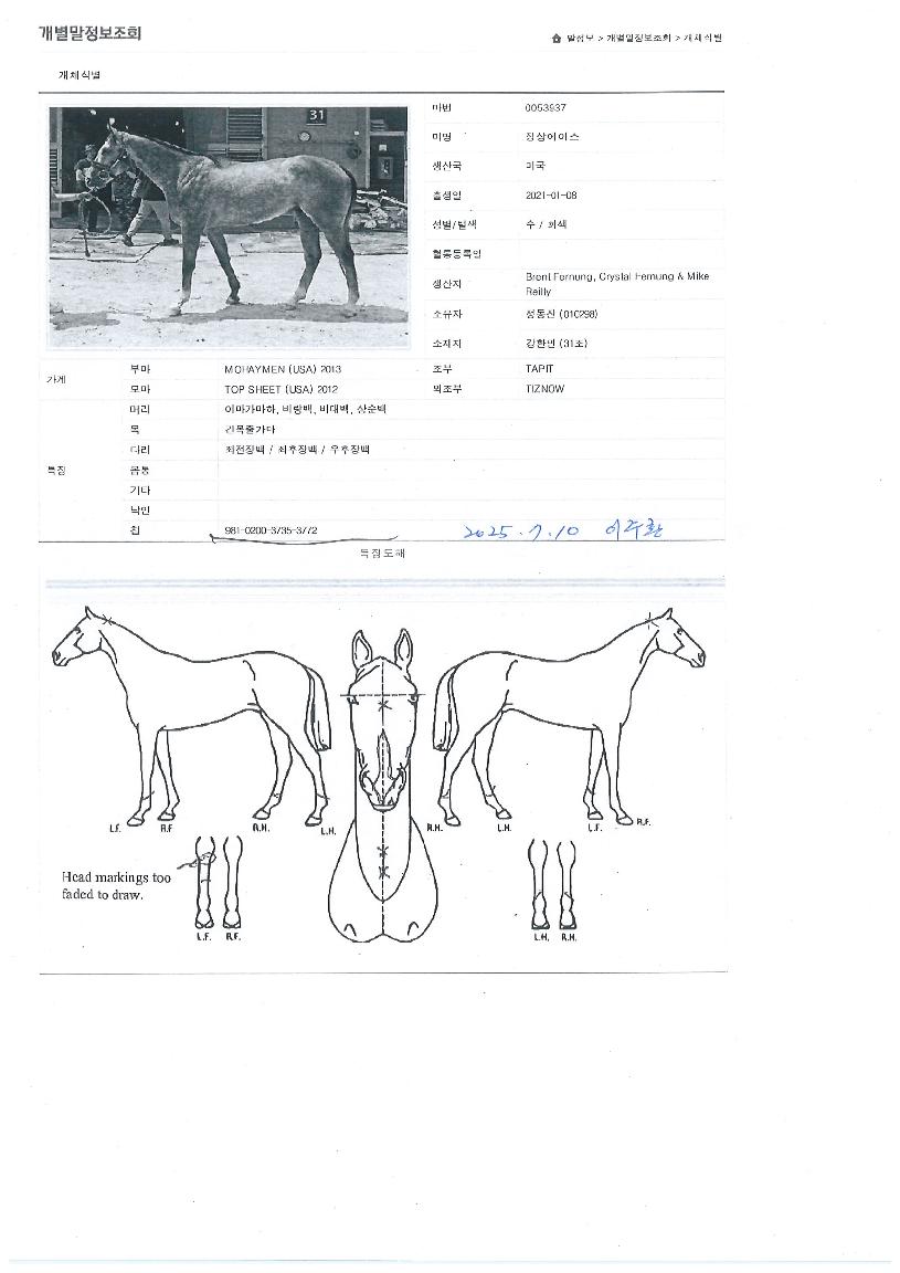 Á¤»ó¿¡À̽ºÀÇ Ãø¸é,¿ì¸é,µÞ¸é,µÎ»ó,´Ù¸®ÀÇ Æ¯Â¡µµÇØ