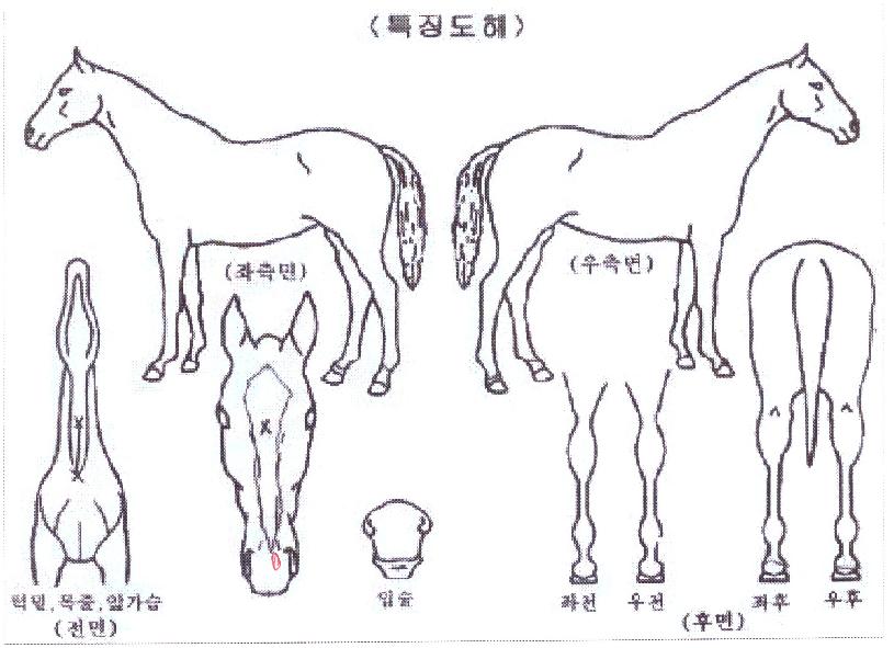 è��������� ����,���,�޸�,�λ�,�ٸ��� Ư¡����