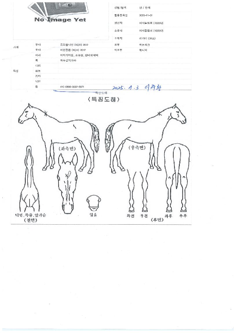 ¿ÍÀϵå¸ÅÁ÷ÀÇ Ãø¸é,¿ì¸é,µÞ¸é,µÎ»ó,´Ù¸®ÀÇ Æ¯Â¡µµÇØ