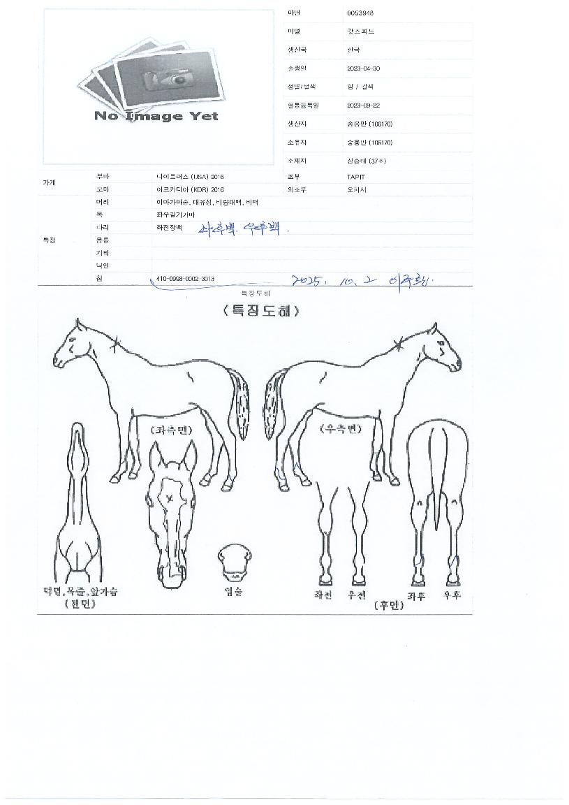 °«½ºÇǵåÀÇ Ãø¸é,¿ì¸é,µÞ¸é,µÎ»ó,´Ù¸®ÀÇ Æ¯Â¡µµÇØ