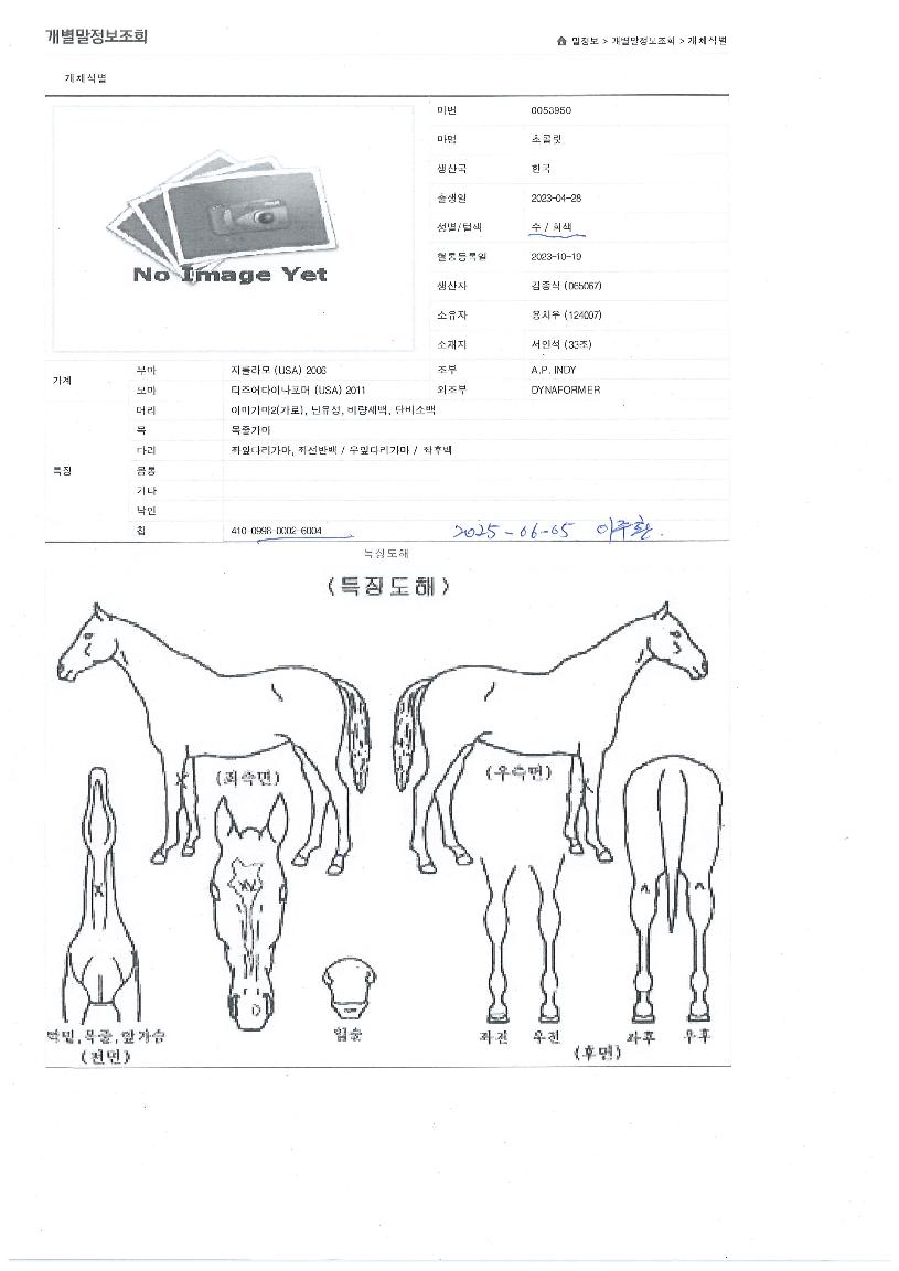 ÃÊÄݸ´ÀÇ Ãø¸é,¿ì¸é,µÞ¸é,µÎ»ó,´Ù¸®ÀÇ Æ¯Â¡µµÇØ