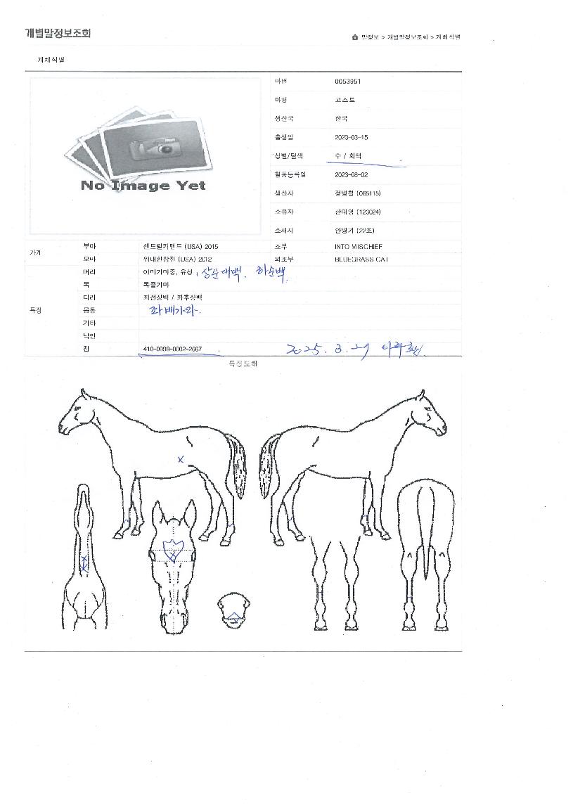 ����Ʈ�� ����,���,�޸�,�λ�,�ٸ��� Ư¡����