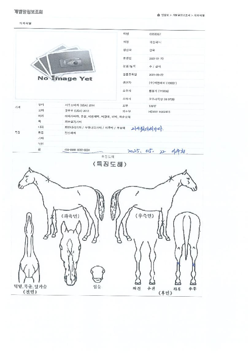 �л������ ����,���,�޸�,�λ�,�ٸ��� Ư¡����